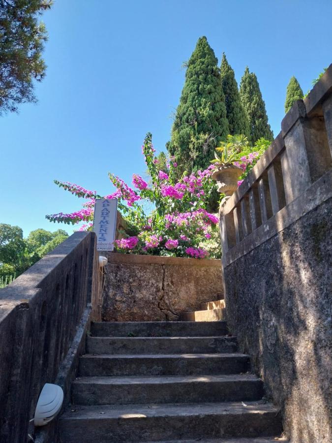 Villa Tiha Cavtat Exterior photo